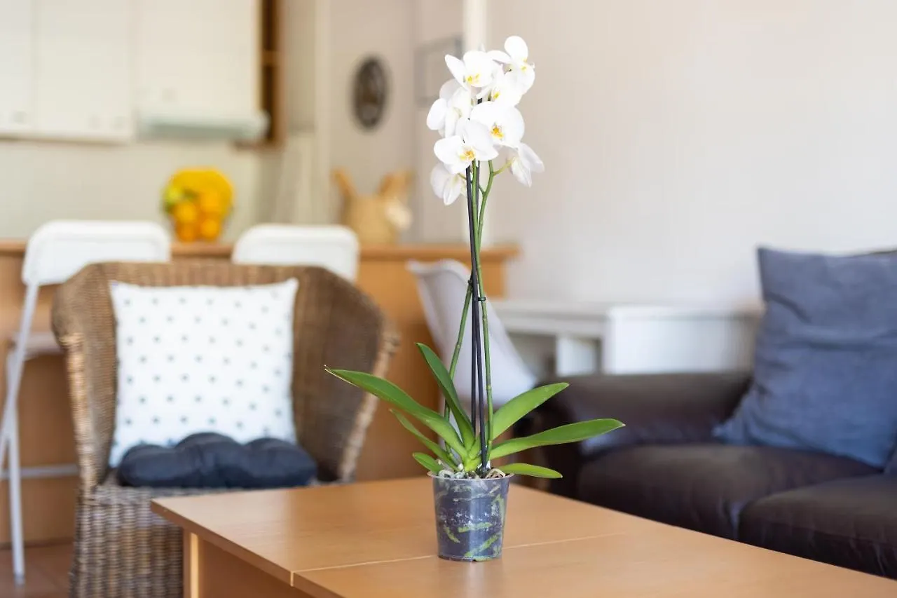 El Paraiso - Costa Adeje - Canaryhousing Playa Paraiso  Appartement Playa Paraiso (Tenerife)